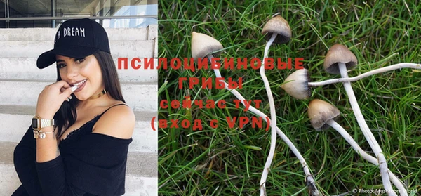 гашишное масло Осташков
