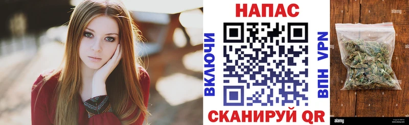 Марихуана сатива  продажа наркотиков  Старый Крым 